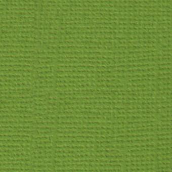 Бумага 30.5x30.5 см 216 г/кв.м для скрапбукинга "Оливковый венок" зелёный, 10л, Mr.Painter /PST №25