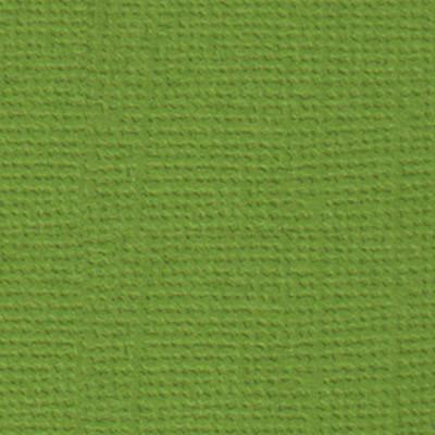 Бумага 30.5x30.5 см 216 г/кв.м для скрапбукинга "Оливковый венок" зелёный, 10л, Mr.Painter /PST №25