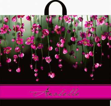 Пакет ПВД петлевой (55*60) 50 мкм "Анабель" Пакет ПВД петлевой (55*60) 50 мкм "Анабель"