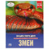 Энциклопедия «Змеи». Формат: 197 х 255мм 48стр, Умка Энциклопедия «Змеи». Формат: 197 х 255мм 48стр, Умка