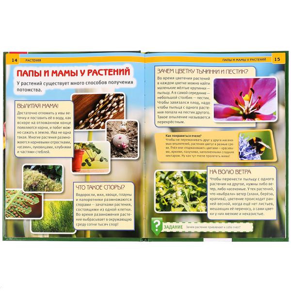 Энциклопедия с развивающими заданиями "Растения". Формат: А4 48стр, Умка