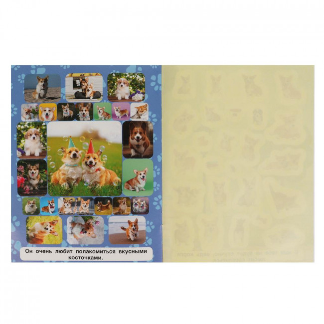 Альбом наклеек «Любимый корги» из серии «150 наклеек». Формат: 155х205мм 12стр, Умка Альбом наклеек «Любимый корги» из серии «150 наклеек». Формат: 155х205мм 12стр, Умка