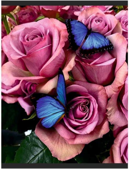 Алмазная мозаика 40*50 на подрамнике "Прекрасные бутоны", полная выкладка, ALM010