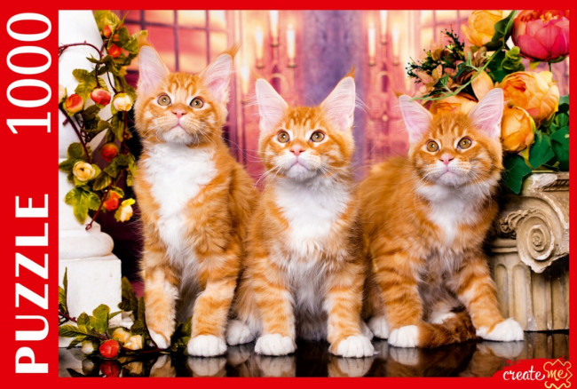 Пазлы 1000 элементов "Рыжие Мейн-куны", Рыжий Кот/ШТП1000-1475