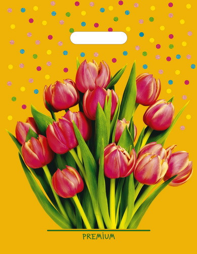 Пакет ПВД (31*40) 60 мкм "Солнечный букет" (50)