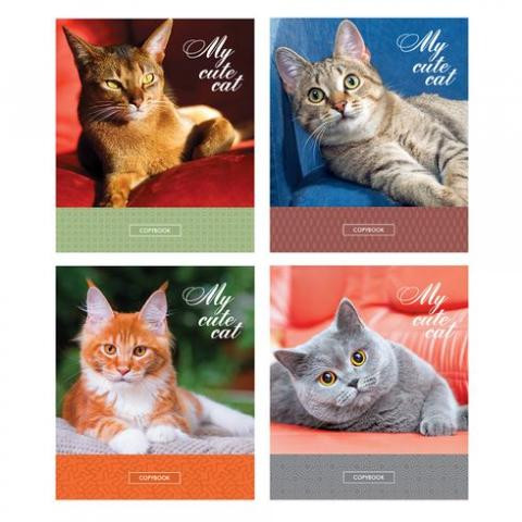 Тетрадь общая А5 скоба 48л. клетка "Мой милый кот" (ассорти) BG (8/56)