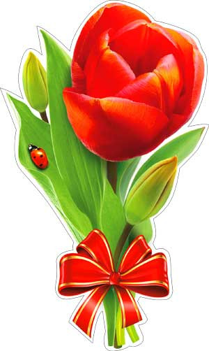 Плакат "Тюльпан" р33-45 (10)