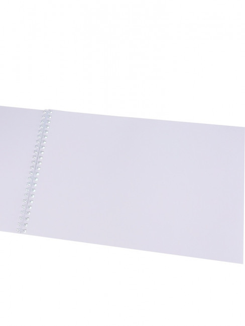 Альбом для рисования А4 20л "Ралли" на гребне, Prof-Press/20-0998 (20)