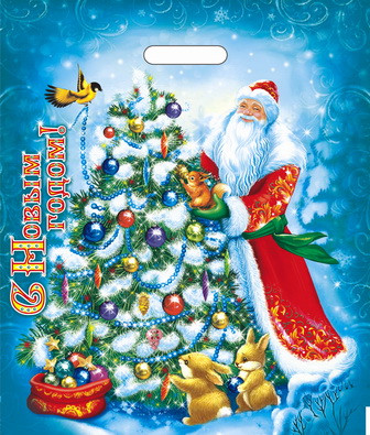 Пакет ПВД (40*47) 45 мкм "Мороз Иванович" (50) Пакет ПВД (40*47) 45 мкм "Мороз Иванович" (50)