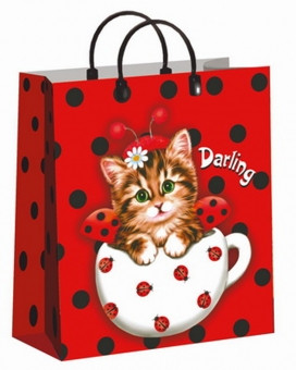 Пакет подарочный (мягкий пластик) 23*27 "Милашка" (10)