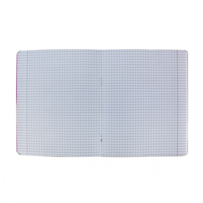 Тетрадь 48 клетка "Лисы. Мегаполис" скрепка, BV/7-48-825 (10/60)