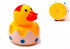 Игрушка резиновая для купания "Утка в яйце", Asmar
