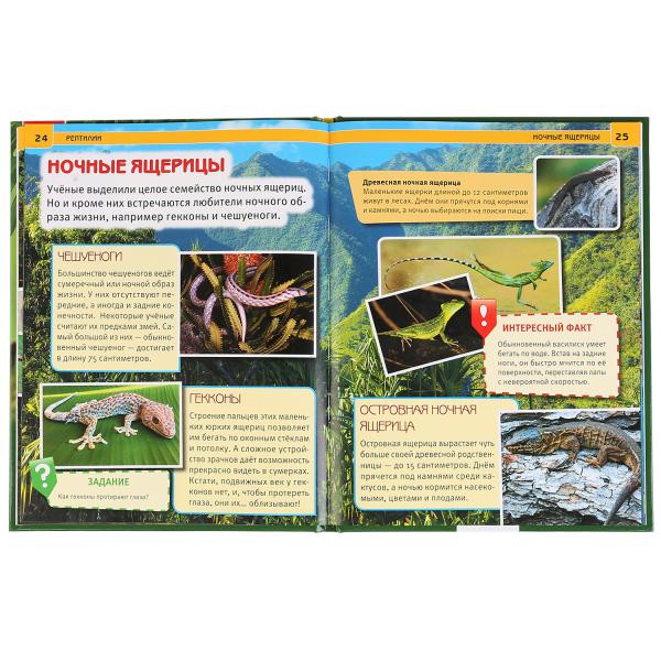 Энциклопедия с развивающими заданиями «Рептилии». Формат: 197Х255мм 48стр, Умка