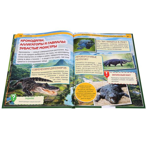 Энциклопедия с развивающими заданиями «Рептилии». Формат: 197Х255мм 48стр, Умка