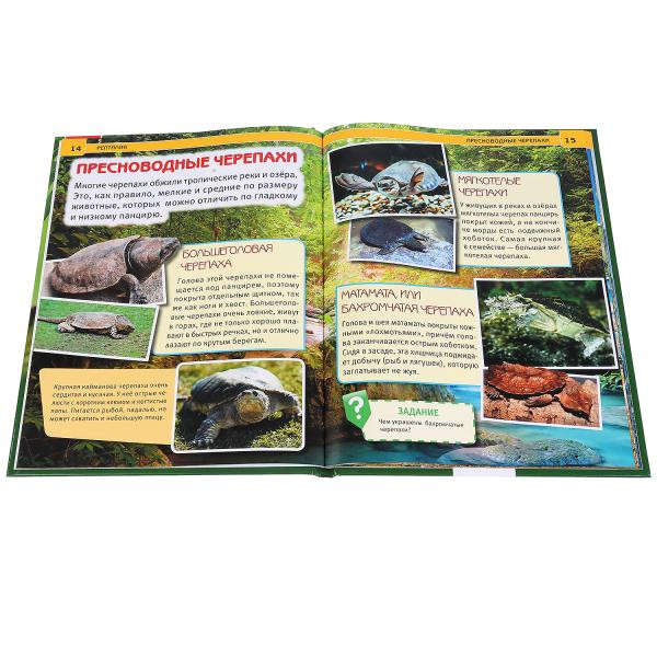 Энциклопедия с развивающими заданиями «Рептилии». Формат: 197Х255мм 48стр, Умка Энциклопедия с развивающими заданиями «Рептилии». Формат: 197Х255мм 48стр, Умка