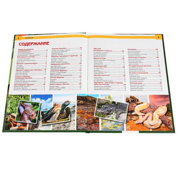 Энциклопедия с развивающими заданиями «Рептилии». Формат: 197Х255мм 48стр, Умка Энциклопедия с развивающими заданиями «Рептилии». Формат: 197Х255мм 48стр, Умка