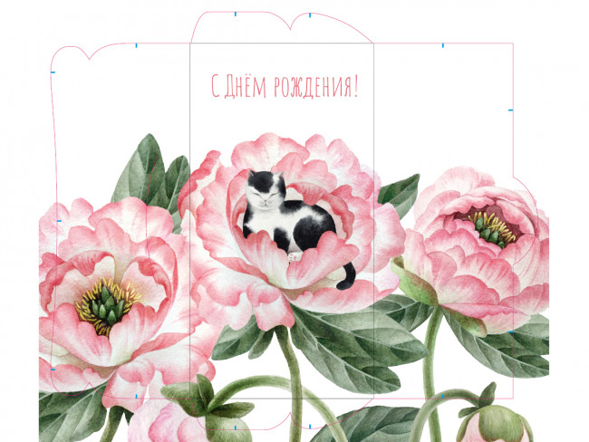 Конверт для денег Soft Touch  С Днём рождения!  (котик в цветке) КСТ-0504 (10)