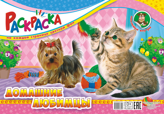 Раскраска А3 РНБ-009