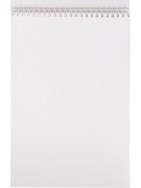 Альбом для рисования А4 48л "Будни кота", на гребне, Prof-Press/48-5610 (20)