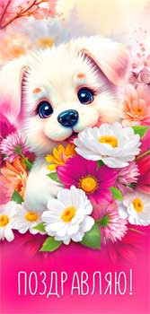 Конверт для денег "Поздравляю!", 90-1675 (10)