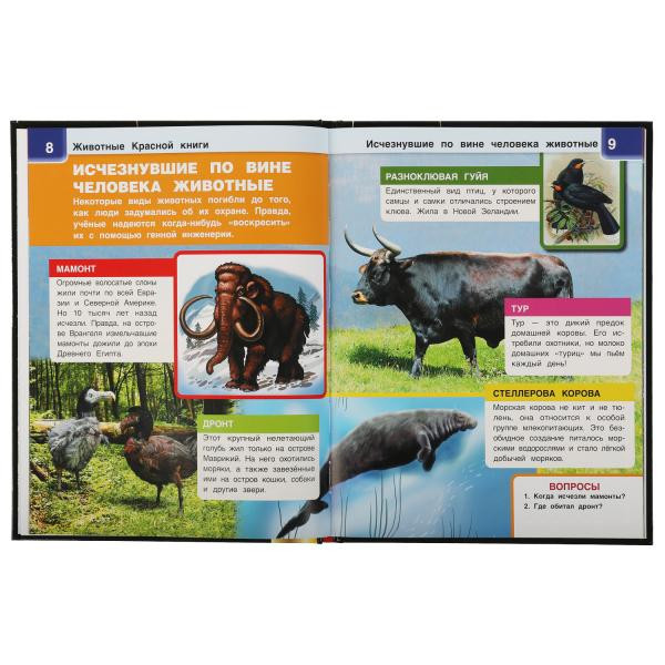 Энциклопедия с дополненной реальностью 4D «Животные Красной книги». Формат: 197х255мм 48 стр, Умка