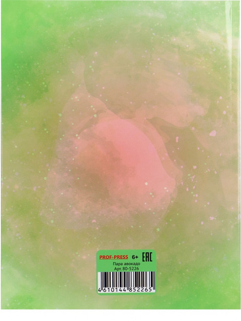 Записная книжка А5 80л клетка "Пара авокадо", 7БЦ, склейка, Проф-Пресс/80-5226 (20)
