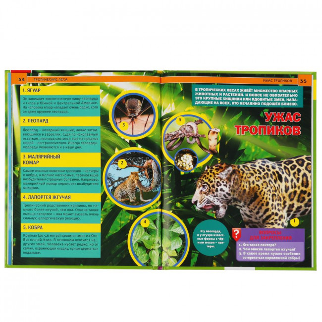 Энциклопедия с развивающими заданиями «Тропические леса». Формат: 197 х 255мм 48стр, Умка Энциклопедия с развивающими заданиями «Тропические леса». Формат: 197 х 255мм 48стр, Умка