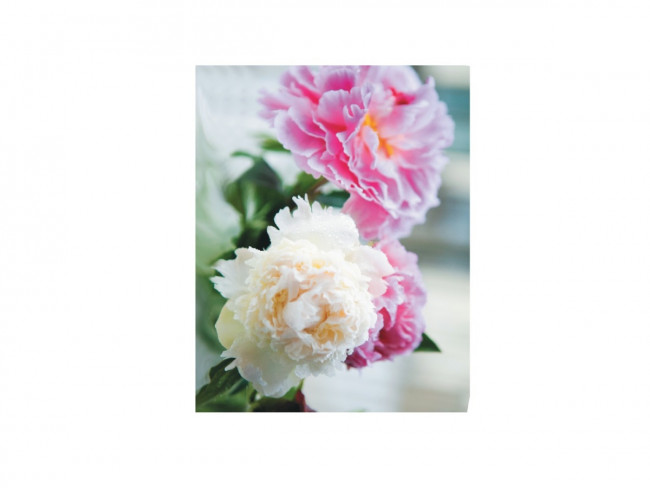 Бизнес-блокнот А6 (200*280), 64л в клетку, блок офсет,тв. обложка.