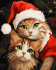 Картина по номерам "Кот в шапке Санта-Клауса" 40*50см, GLA88, мягкая упаковка