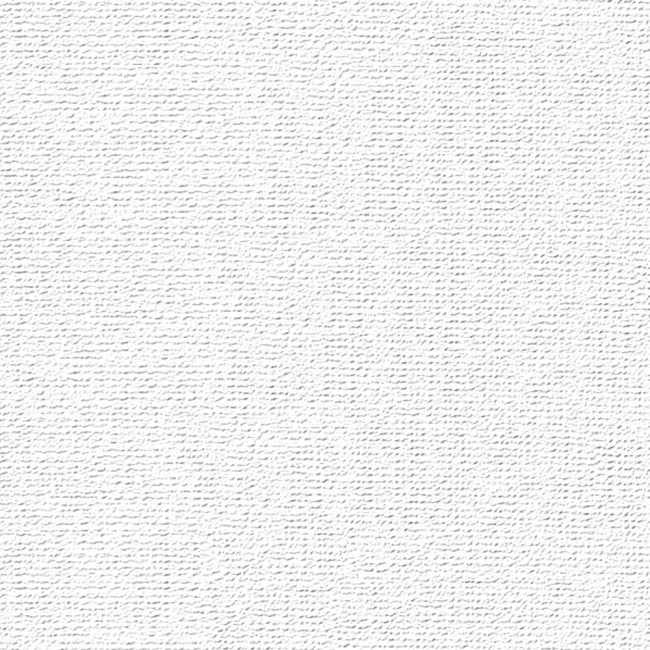 Бумага для пастели "Палаццо" 210х297 "Snow" (белоснежный) 160г, 1лист (50)