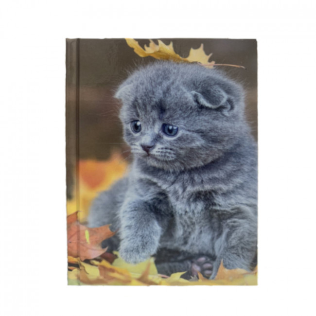 Бизнес-блокнот А6 (200*280), 64л в клетку, блок офсет,тв. обложка.