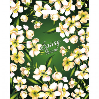 Пакет ПВД (40*50) 80 мкм "Весенний сон" (50)