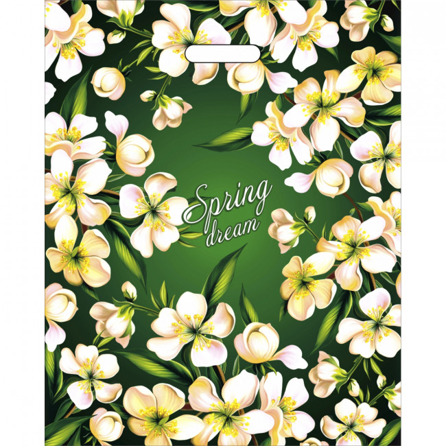 Пакет ПВД (40*50) 80 мкм "Весенний сон" (50)