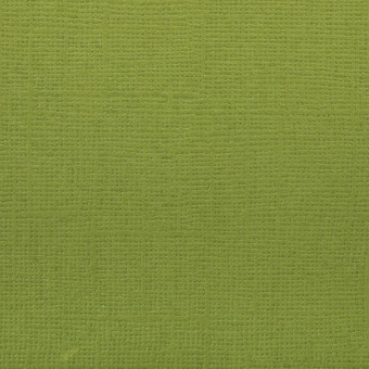 Бумага 30.5x30.5 см 216 г/кв.м для скрапбукинга "Сочный лайм" ярко-зелёный, 10л, Mr.Painter /PST №58