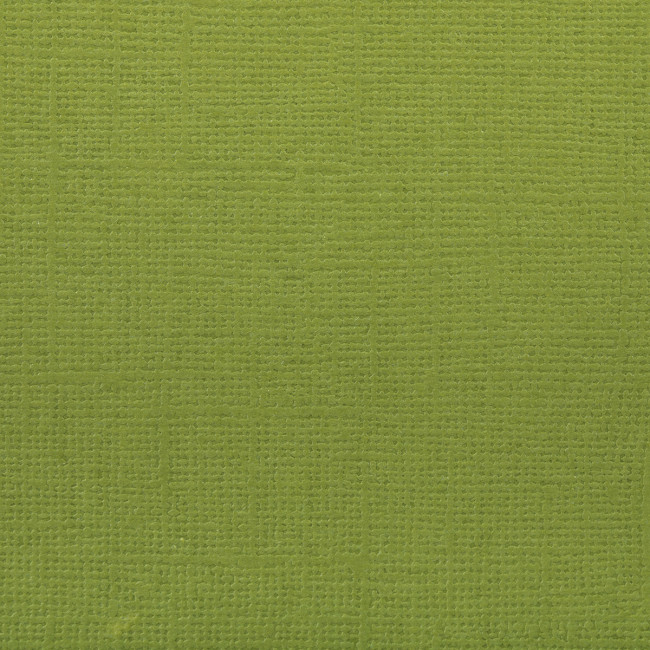 Бумага 30.5x30.5 см 216 г/кв.м для скрапбукинга "Сочный лайм" ярко-зелёный, 10л, Mr.Painter /PST №58