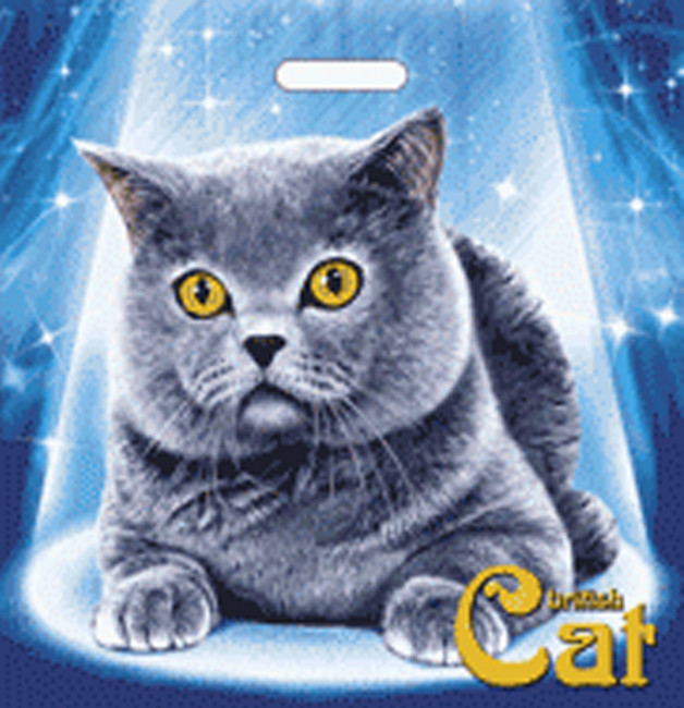 Пакет ПВД (44*44) 70 мкм "Британец" (50)