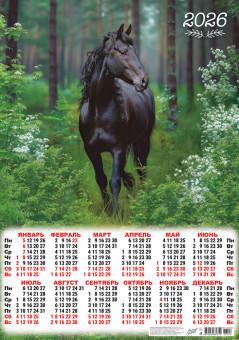 Календарь-плакат А2 2026г "Вороной красавец", ПО-26-120 Календарь-плакат А2 2026г "Вороной красавец", ПО-26-120