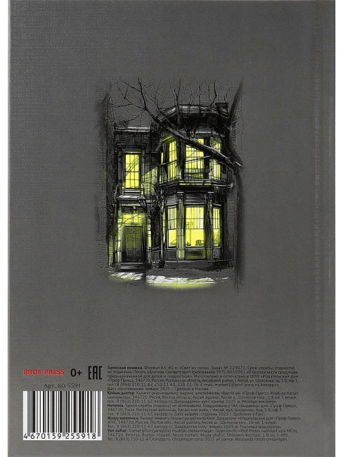 Записная книжка А5 80л клетка "Свет из окон", 7БЦ, сшивка, Проф-Пресс/80-5591 (20)