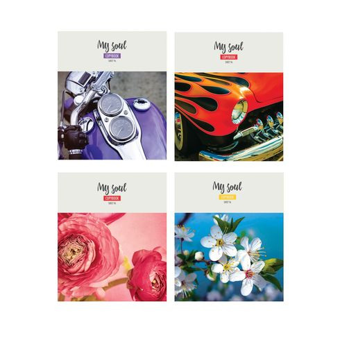 Тетрадь общая А5 скоба 96л. одна линия "My soul" ламинация матовая (ассорти) BG (4/32)