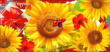 Конверт для денег "Без надписи" 90-972