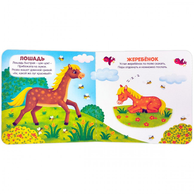 Книга "Наша природа" из серии "Первая книга малыша". Формат: 16x15.7x1см 12стр, MaLaMaLaMa