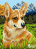 Набор для творчества "Рисование по номерам". H094 Корги на прогулке 40*50 Набор для творчества "Рисование по номерам". H094 Корги на прогулке 40*50