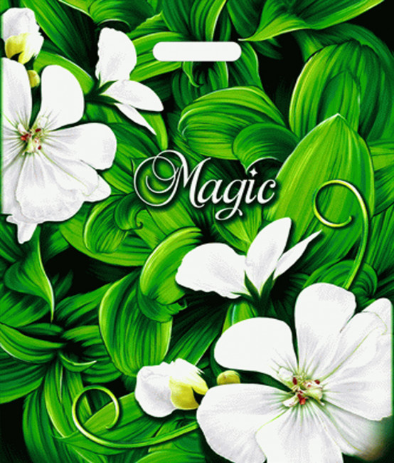 Пакет ПВД (40*47) 45 мкм "Магия" (50)