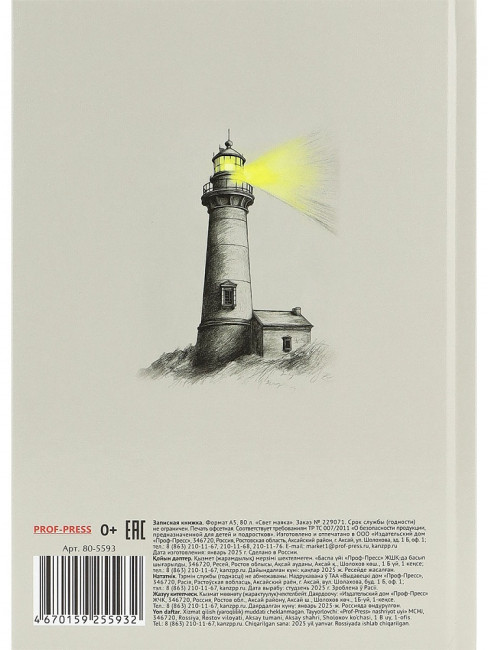 Записная книжка А5 80л клетка "Свет маяка", 7БЦ, сшивка, Проф-Пресс/80-5593 (20)