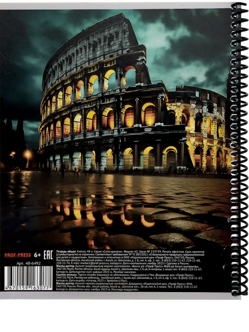 Тетрадь 48 клетка "Сила красоты", на спирале, Проф-Пресс/48-6492 (10/80)