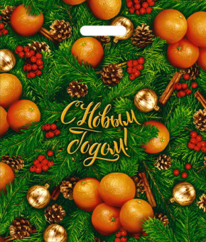 Пакет ПВД (40*47) 45 мкм "Спелая зима" (50)