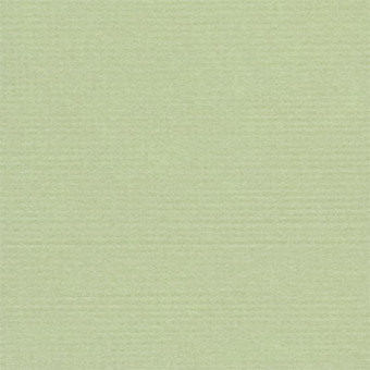 Бумага 30.5x30.5 см 216 г/кв.м для скрапбукинга "Фисташковое мороженое" бл. зеленый, 10л, Mr.Painter /PST №44