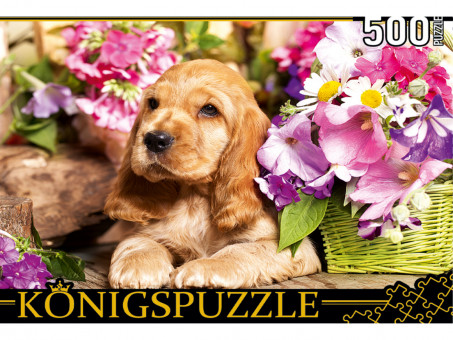 Пазлы 500 элементов "Щенок английского кокер-спаниеля", Konigspuzzle/ШТK500-3583