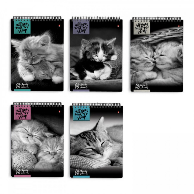 Блокнот А5 40л клетка "Кошки", 5 видов ассорти, BV/3-40-462 (50)