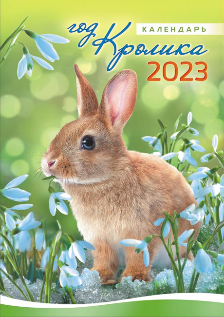Календарь ригель 2023г "Символ года. Кролик фото" большой РБ в упаковке, РБ-23-022